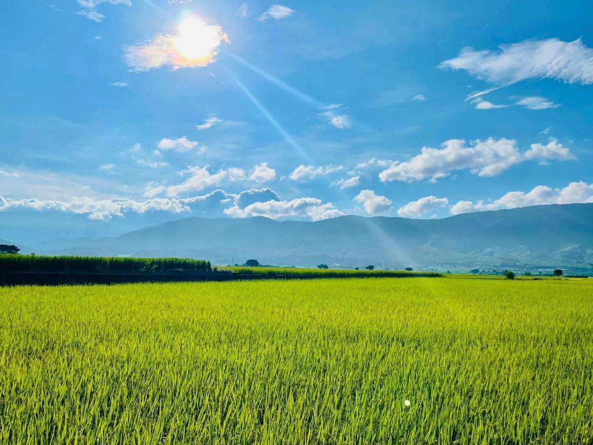 關山稻香田園民宿 Haiduan Екстер'єр фото